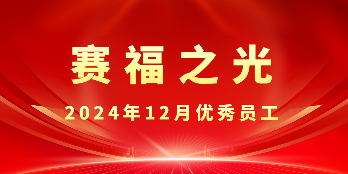 【賽福之光】2024年12月優(yōu)秀員工先進(jìn)事跡